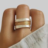 HÕBE- JA KULLANIIDI RÕNGAS