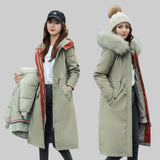 ARIEL | NAISTE TALVEBLUSON KAPUUTIGA JA PEHME KAELUSEGA